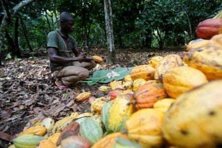 La Côte d’Ivoire et le Ghana font front contre deux géants américains du chocolat