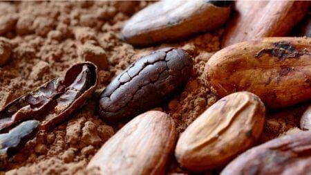 Cacao : ralentissement mondial du segment de la transformation au second trimestre 2023