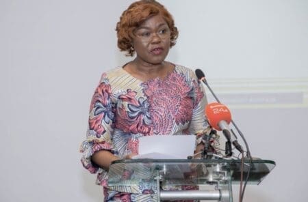 FINANCEMENT DU PND 2021-2025 : NIALE KABA PRÉSENTE LES OPPORTUNITÉS D’INVESTISSEMENTS EN COTE D’IVOIRE AUX ENTREPRISES JAPONAISES