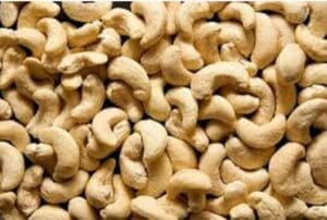 Noix de cajou ivoirienne destinée à l’exportation internationale