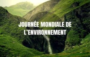 JOURNÉE MONDIALE DE L’ENVIRONNEMENT : LES INITIATIVES DE REBOISEMENT GAGNENT DU TERRAIN EN CÔTE D’IVOIRE