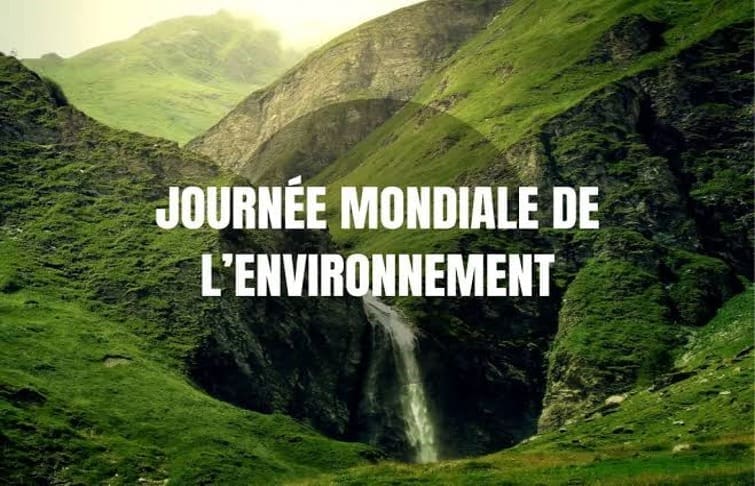 JOURNÉE MONDIALE DE L’ENVIRONNEMENT : LES INITIATIVES DE REBOISEMENT GAGNENT DU TERRAIN EN CÔTE D’IVOIRE